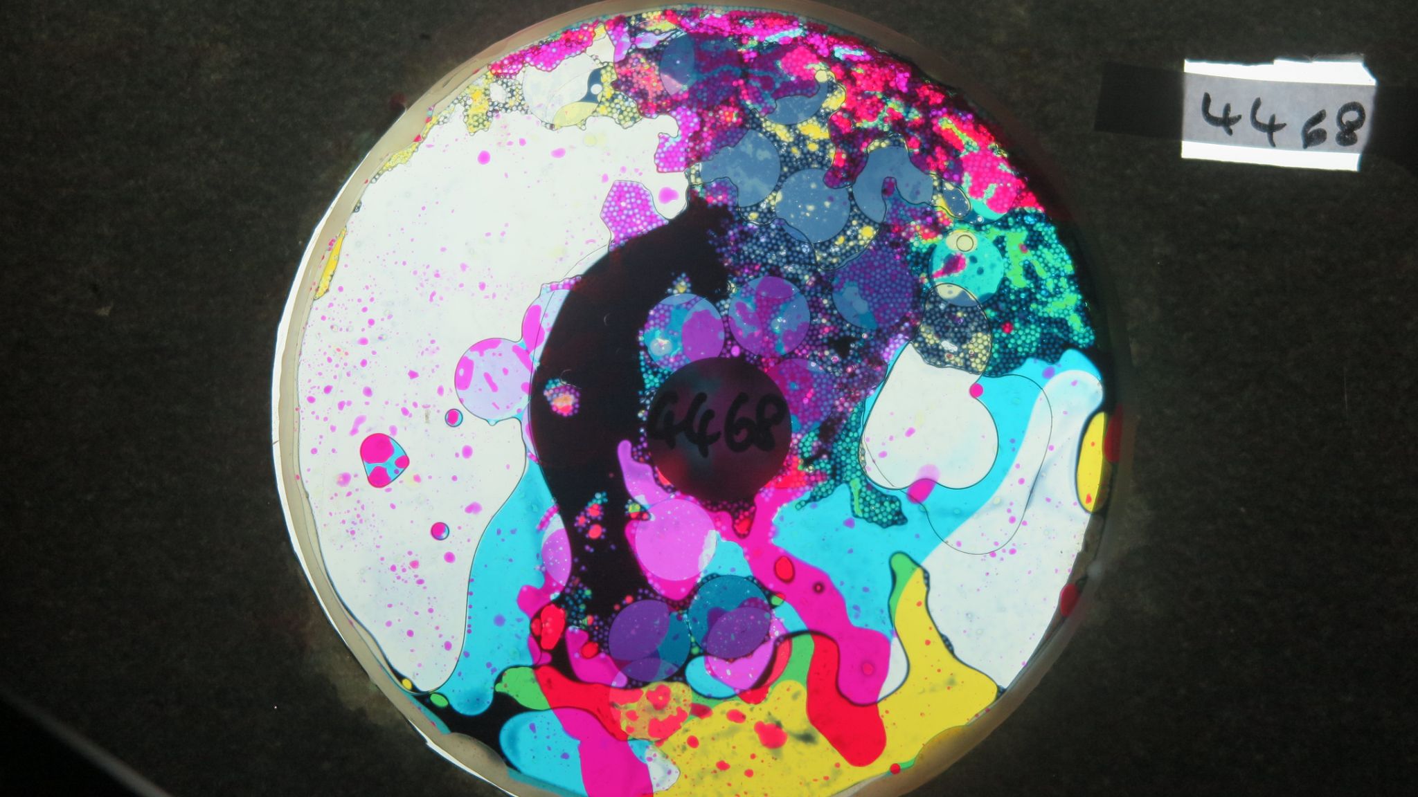 BV4468 bubble vision oil wheel